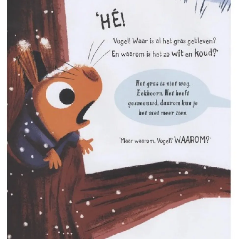 De Sneeuwdief - Alice Hemming