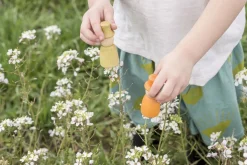 Grapat, 12 Nins Met Hoed