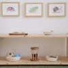 Manine Montessori Shelf, 2 Planken