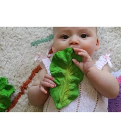 Oli And Carol Kendall The Kale, Bijt - En Badspeeltje