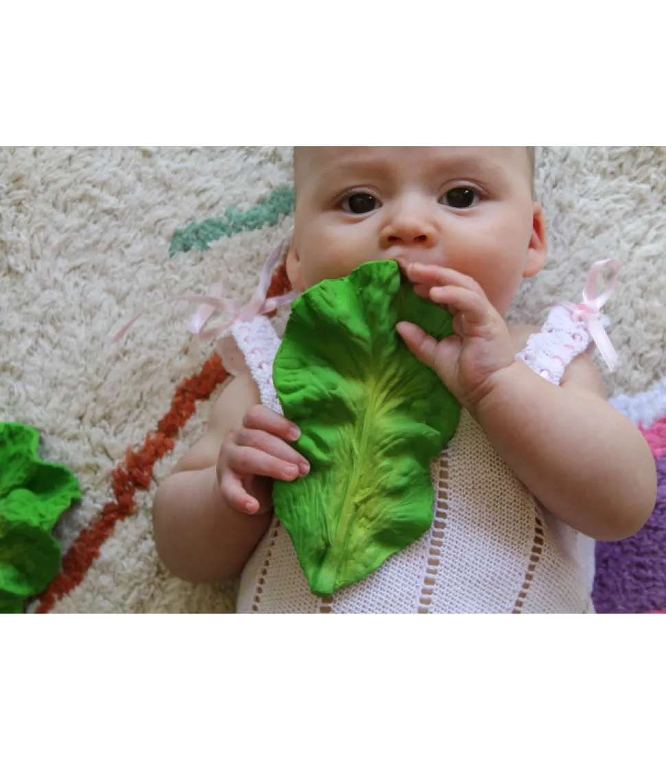 Oli And Carol Kendall The Kale, Bijt - En Badspeeltje