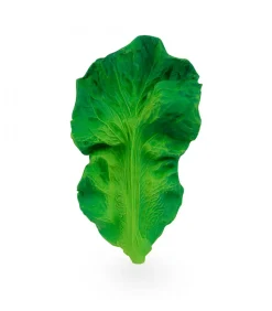 Oli And Carol Kendall The Kale, Bijt - En Badspeeltje