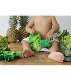 Oli And Carol Kendall The Kale, Bijt - En Badspeeltje