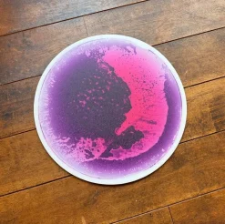 Sensorische Vloertegel Rond, Paars Met Roze