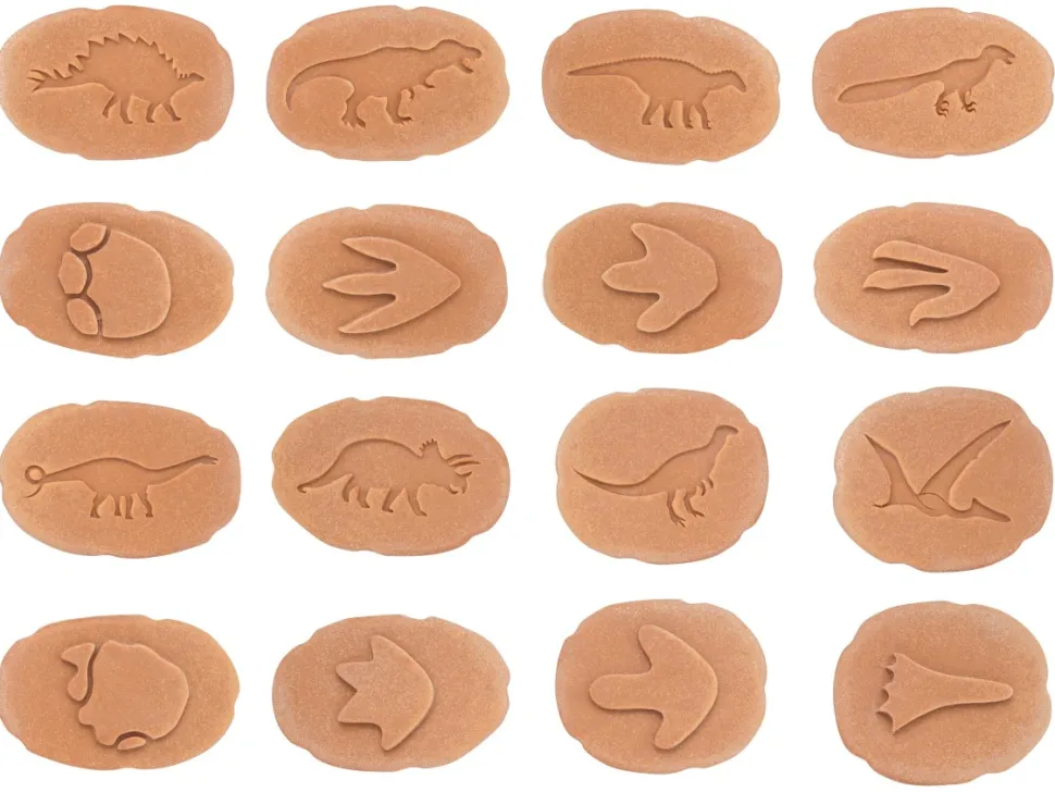 Yellow Door - Dinosaur Pootafdruk Speelstenen