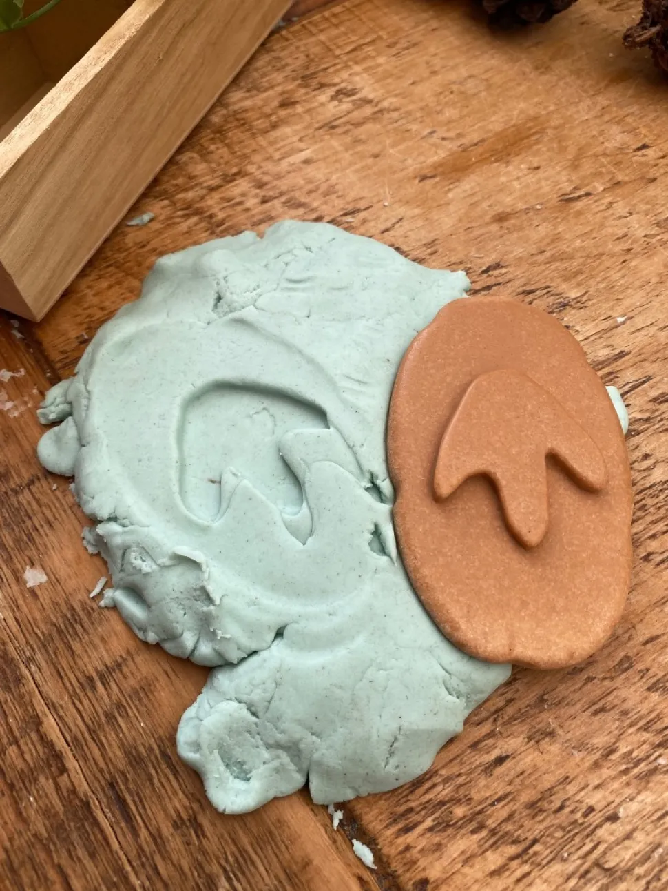 Yellow Door - Dinosaur Pootafdruk Speelstenen