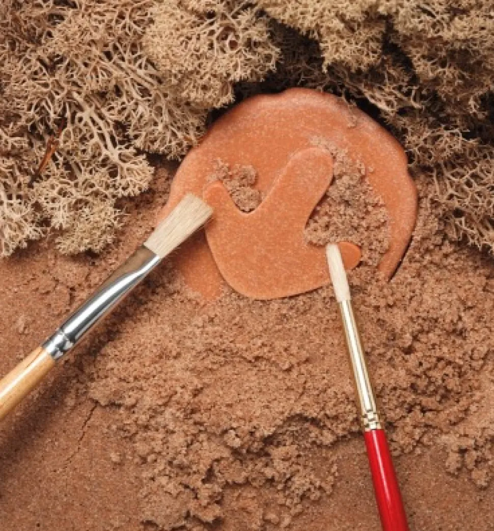 Yellow Door - Dinosaur Pootafdruk Speelstenen