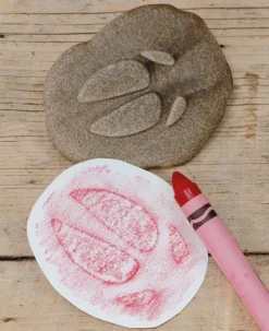 Yellow Door - Farmyard Pootafdruk Speelstenen